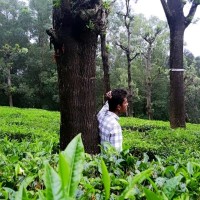 Mani Bharath