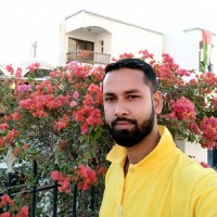 S M Shahin