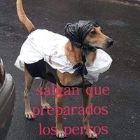Derlis Acosta