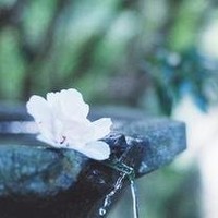 木子瓶