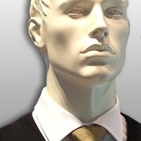 Steeve Virtuel  ** LION **