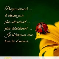 Patricia Picca