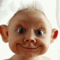 Jake Bodkin