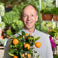 Marco van Delft