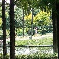 陈新礼