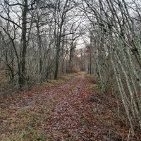 François-Xavier Louchet