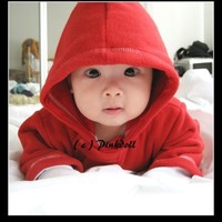 Raghvendra Singh