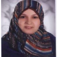 Nehad Mostafa megahed ,PMP®