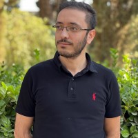 Hesam Karimi