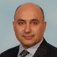 Mahmoud Kowkabi