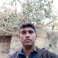 Raj Ravi