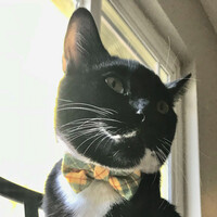 Frankie Perez