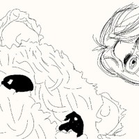 Noorjehan Mehnaz Jafri