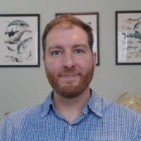 Ron Scheibel