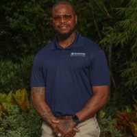 Warren Harvey