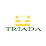 Triada Service - Consultoria 1