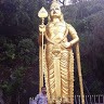 Dhana Chellam