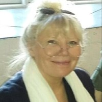 annie johansson lind