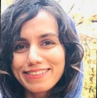faezeh ahmadi