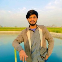 Hamza Kaleem