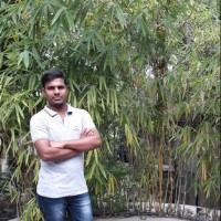 Chandra Reddy