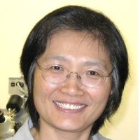 Lily Zhang