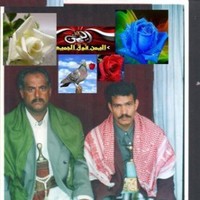 محمد الحجيل