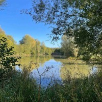 Lee Outhwaite Bsc(Hons)