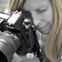 Dawn Koenitzer