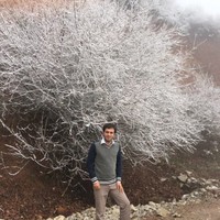 Mohamad mahdi heydari