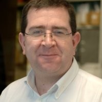 David Bishop