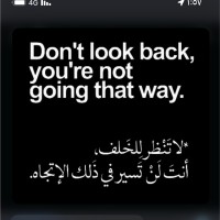 Nawal Hamaly