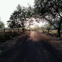 Aparna Jodh