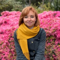 Annabel Cook
