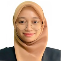 Anis Fazlin
