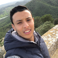 Hassan Mallal