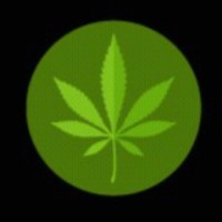 Agro Cannabis Group