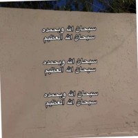 وليد العطوي