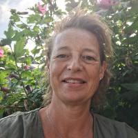 Yvette Tinholt