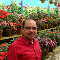 Sudesh Kumar Chopra