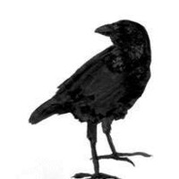 KARMANCROW KARMANCROW