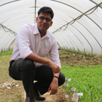 Aman Dayal