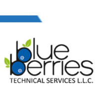 Blueberries Technical Services Llc