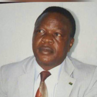 Marcus Iyiola Ayoola Bsc Msc, FNCS, MCPN, MITSSP,