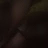 Y B.