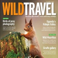 Wild Travel Magazine