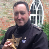 Stuart Wainwright
