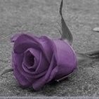 alekhya rao donakanti