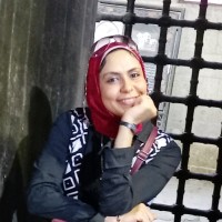 Dr.Hanan Magdy