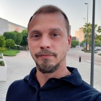 Andrei Ermolaev